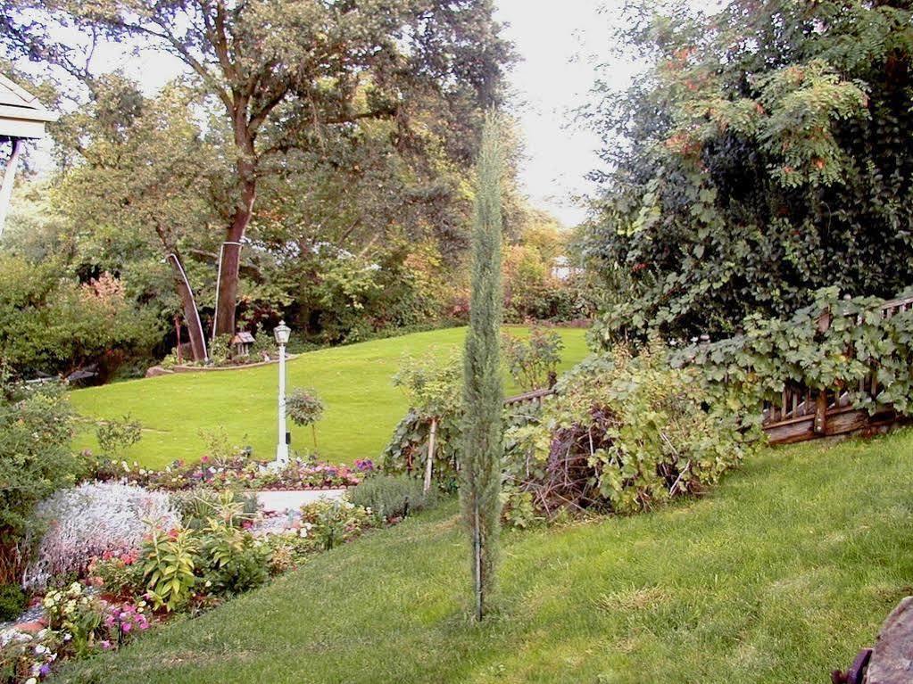 Robin'S Nest Bed & Breakfast San Andreas Eksteriør billede